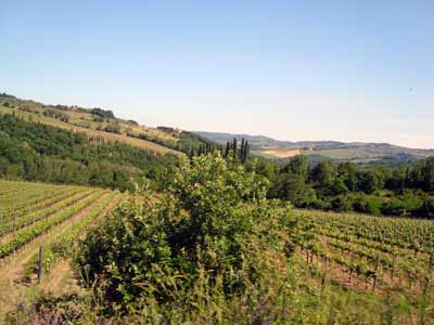  Toscana