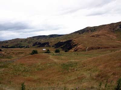 Landschaft im Süden - Schafe, Schafe, Schafe