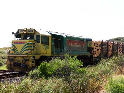 Kiwi-Rail, zufällig heute am Kiwitag fotografiert